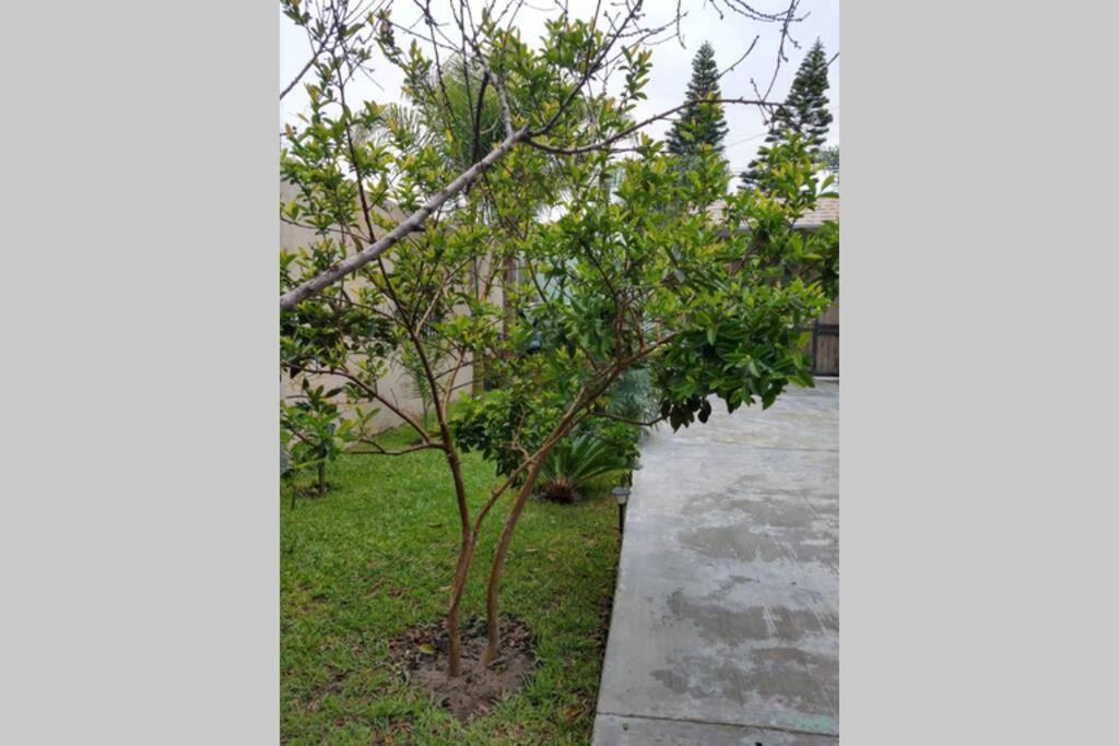 Departamento Las Palmas Rosarito Dış mekan fotoğraf